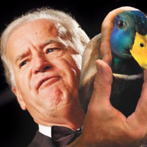 Joe Biden with mallard